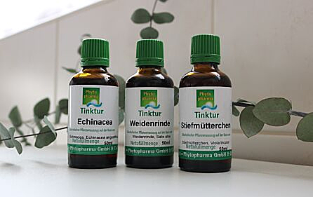 Gestärkt durch die Erkältungszeit mit der pflanzlichen Kraft der Phytotherapie
