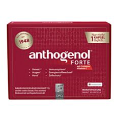 Anthogenol OPC Original Masquelier´s FORTE Kapseln