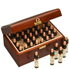 Bachblüte Adler Set 40 x 10ml Flaschen in der Holzbox