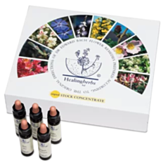 Bachblüte Adler Set 40 x 10ml Flaschen in der Kartonbox