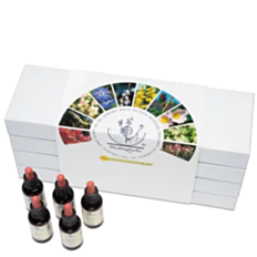 Bachblüte Adler Set 40 x 30 ml Flaschen in der Kartonbox