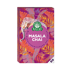 Dr. Kottas WORLDWIDE Masala Chai Gewürzteemischung BIO 20 Filterbeutel