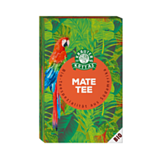 Dr. Kottas WORLDWIDE Matetee BIO 20 Filterbeutel