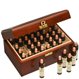 Bachblüte Adler Set 40 x 10ml Flaschen in der Holzbox