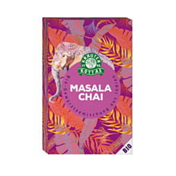 Dr. Kottas WORLDWIDE Masala Chai Gewürzteemischung BIO 20 Filterbeutel
