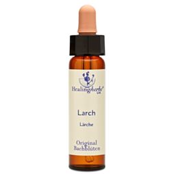 Bachblüte Adler Larch Tropfen
