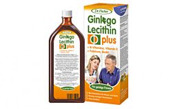 Ginkgo Lecithin plus Tonikum Dr. Fischer 1000ml (2x500ml)
