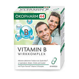 Ökopharm 44 VITAMIN B Wirkkomplex Kapseln 60 Stück