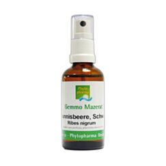 Phytopharma Gemmo Mazerat schwarze Johannisbeere Spray
