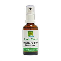 Phytopharma Gemmo Mazerat schwarze Johannisbeere Spray